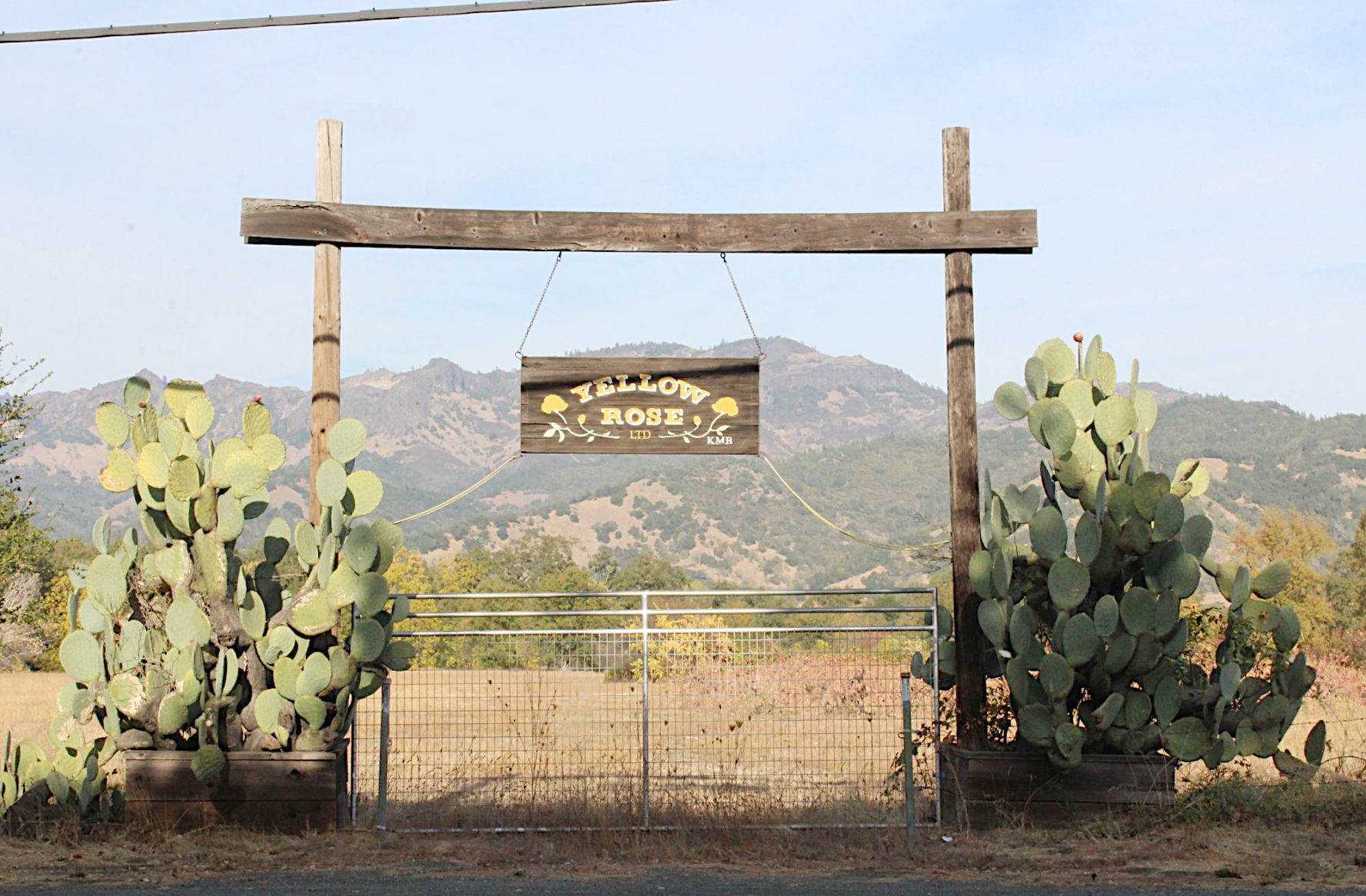 Yellow Rose Ranch